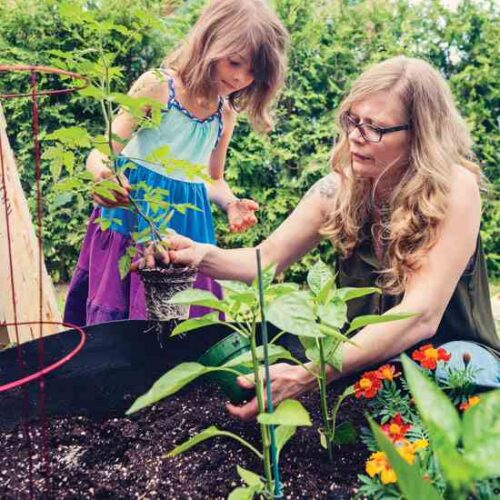 Plant a Patchwork Garden